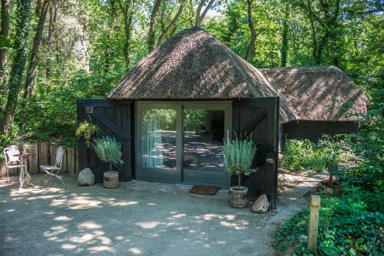 Aa Casia Vakantiehuis Zeegse Dış mekan fotoğraf